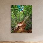 Sedona Hidden Trails