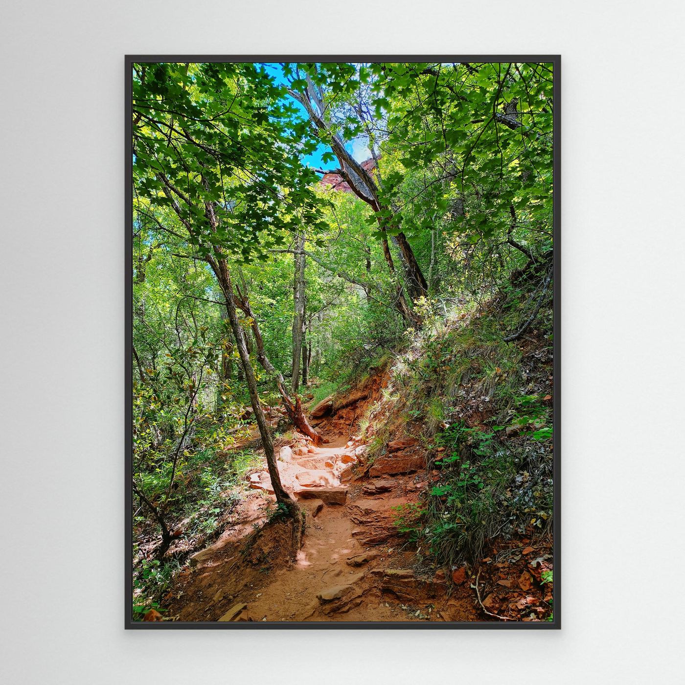 Sedona Hidden Trails