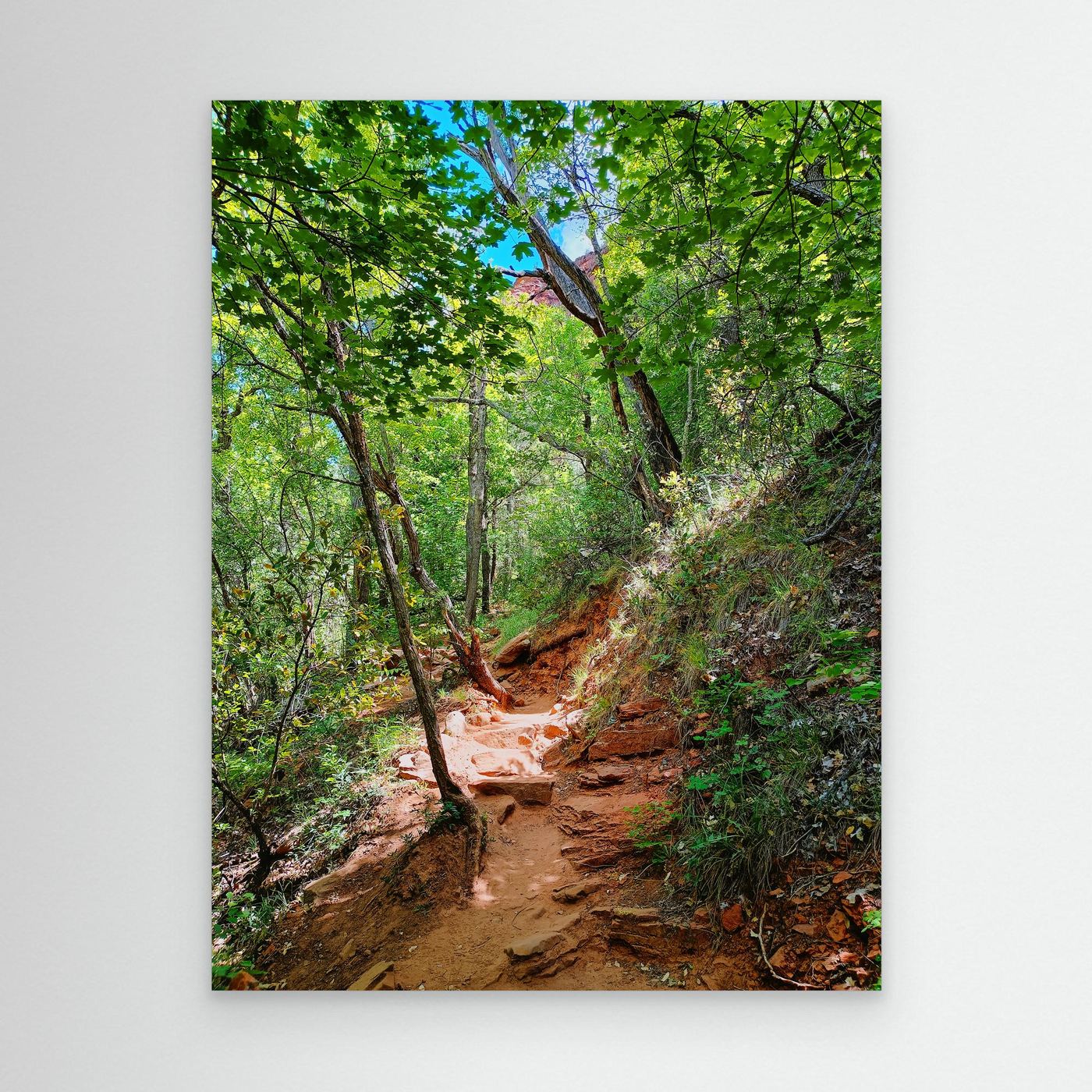 Sedona Hidden Trails