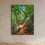 Sedona Hidden Trails